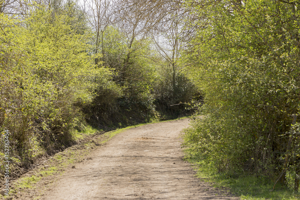 Naklejka premium Near the village of fontibre in cantabria