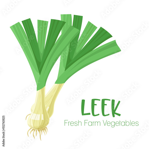 Vector leek isolated on white background.Vegetable illustration for farm market menu. Healthy food design poster. Cartoon style vector illustration