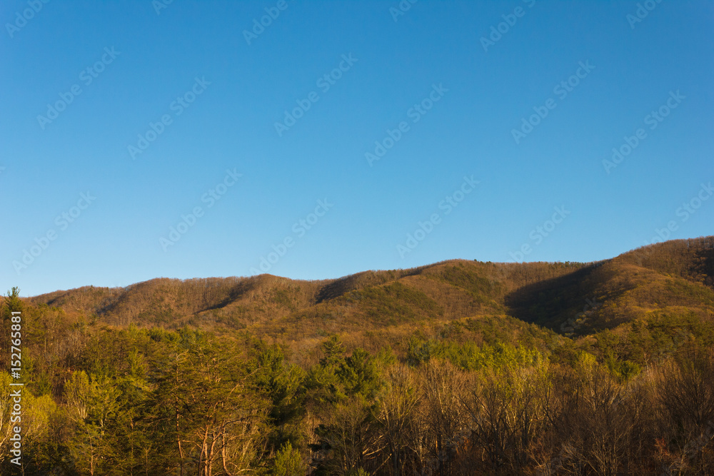 Jefferson National Forest