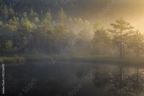 bog lake in morning fog photo