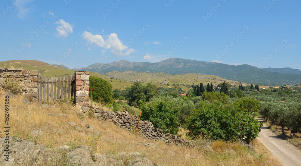 Hill and countryside close to Molyvos, Lesvos  with stone wall  gate and Olive trees