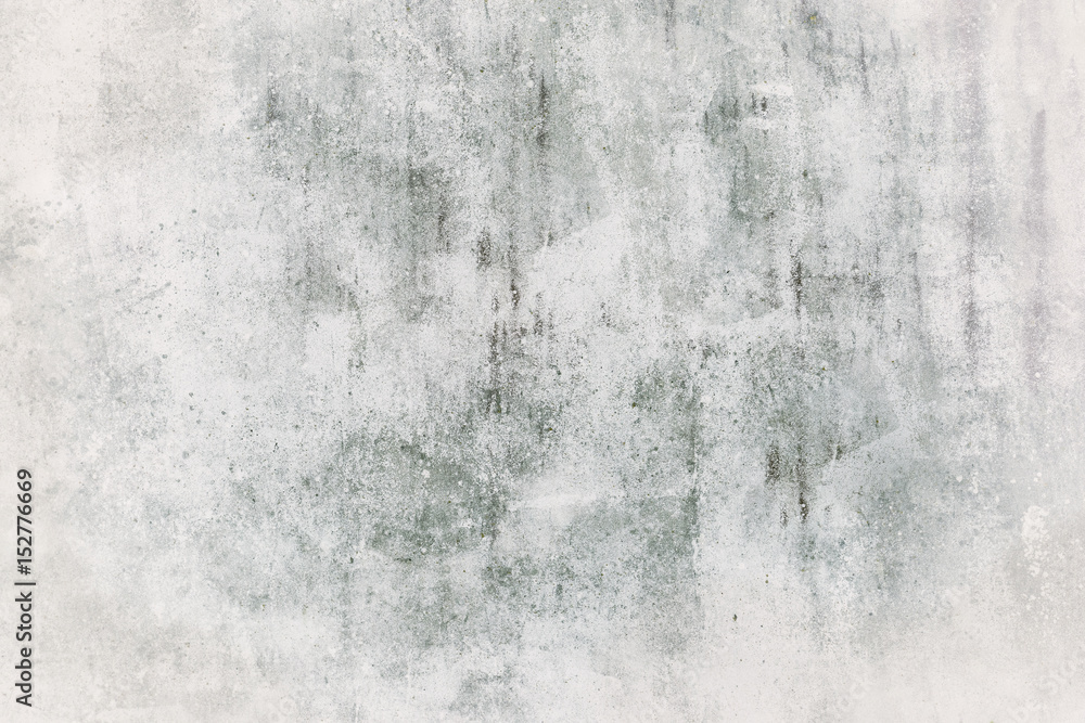 Obraz premium Painted wall texture in white.