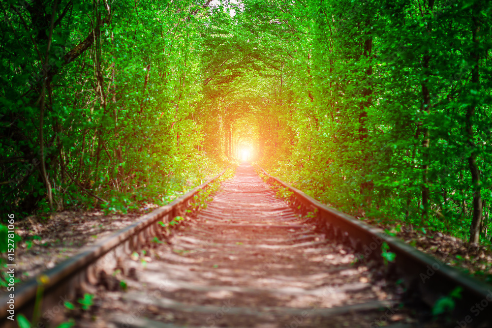 Obraz premium a railway in the spring forest tunnel of love