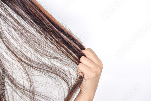 Combing with brush and pulls long hair.Daily preparation for looking nice, Long Disheveled Hair,Holding Messy Unbrushed Dry Hair In Hands.Hair Damage,Health And Beauty Concept,unhappy with dry hair