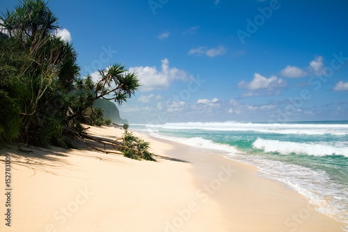 Beautiful secret tropical sea beach with gorgeous waves on the island dream paradise of Bali nature. Indonesia outdoor landscape with fantastic white sand shoreline with palm trees and blue ocean