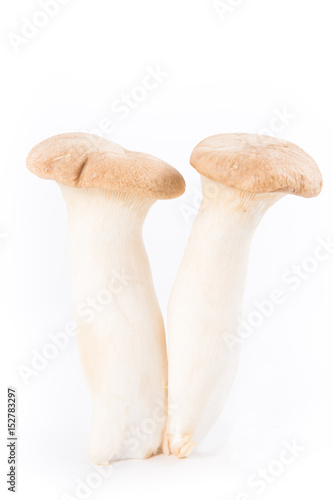 Eryngii mushroom isolated with white background