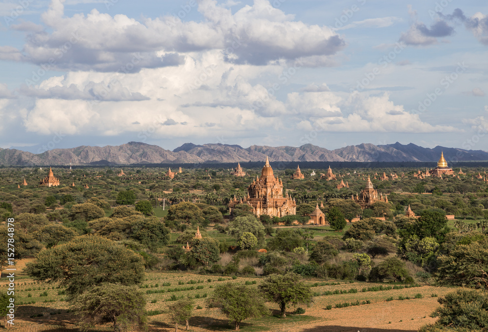 Panorama of Bagan temples bathed in golden sunlight