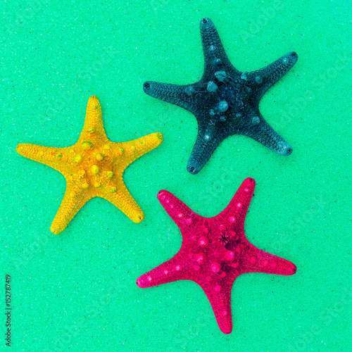 Starfish set. Sea mood. Minimal art © Porechenskaya