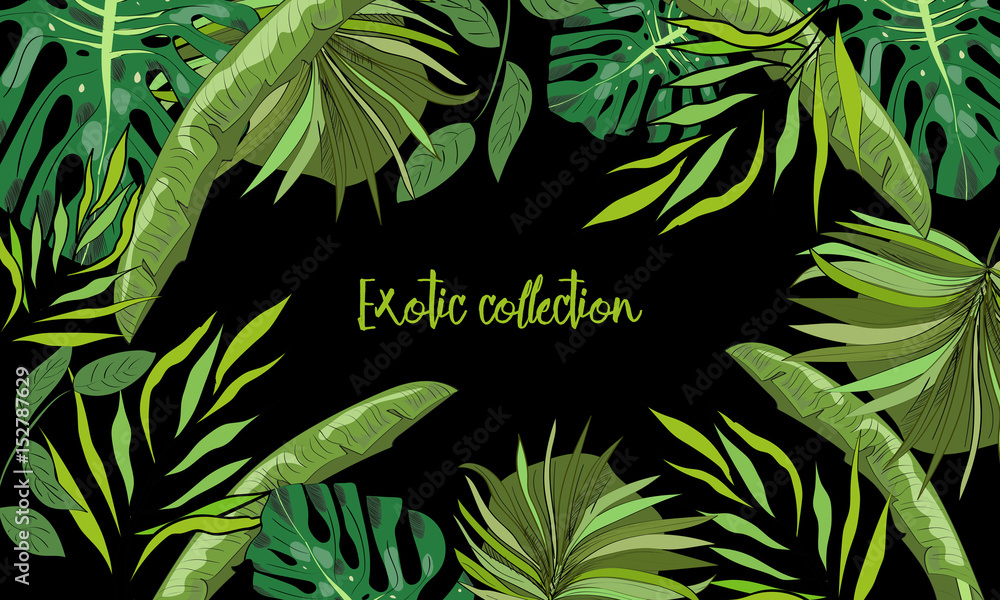 Tropical hand drawn exotic collection background with leaves. Tropical hand drawn exotic collection background with leaves.