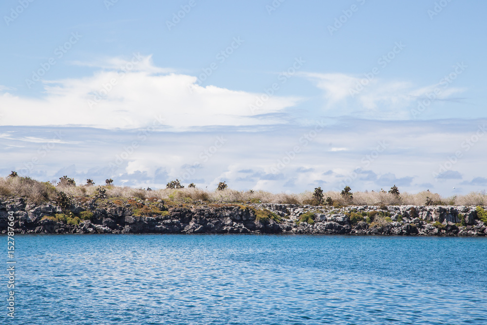 Landscapes of the Galapagos:  Santa Fe island