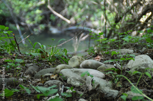 sassi e sentiero vicino al Tevere.