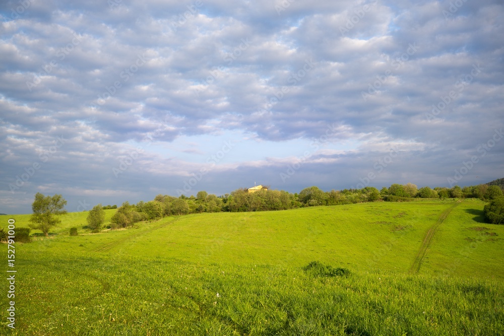 Green meadow with trees and views to mountains. Slovakia Green meadow with trees and views to mountains. Slovakia