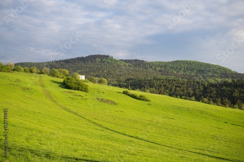 Green meadow with trees and views to mountains. Slovakia