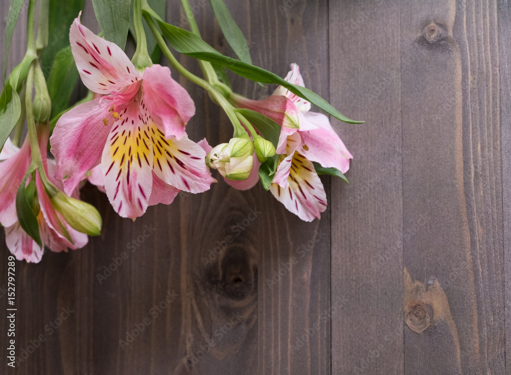 Spring background layout on a brown wooden background with nice fresh flowers and a place to record signatures inscriptions