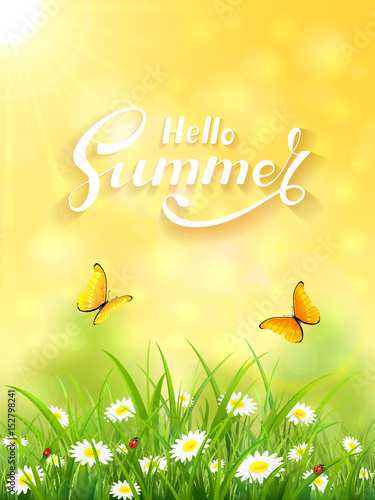 Yellow Summer background with grass and Sun