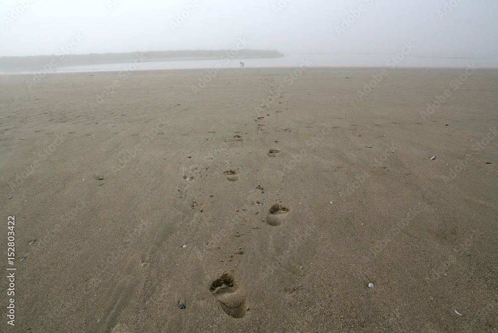 footprints on the beach at Berck sur mer, France footprints on the beach at Berck sur mer, France