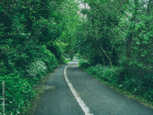 Spring countryside road Northern Ireland