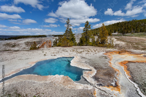 Blue Star Spring, Upper geyser basin, Yellowstone National Park, Wyoming, United States of America 