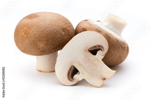 Fresh champignon mushrooms isolated on white.