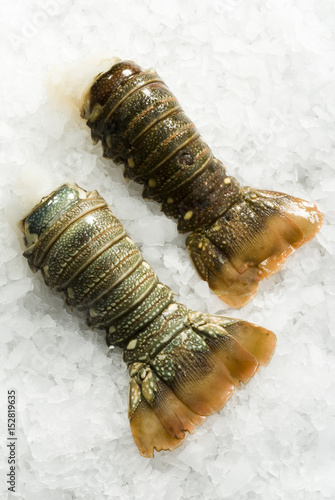 fresh raw lobster tail on ice