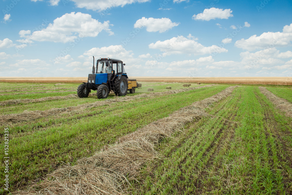 Obraz premium Tractor collects dry hay on the farm field