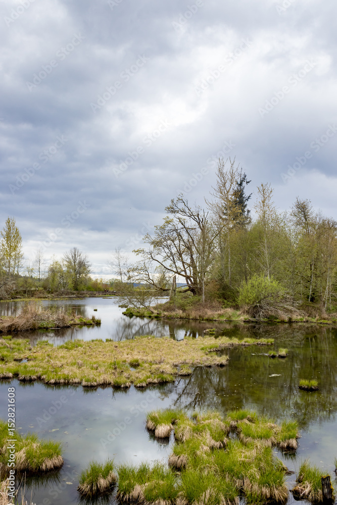 Obraz premium wetlands with cloudy sky