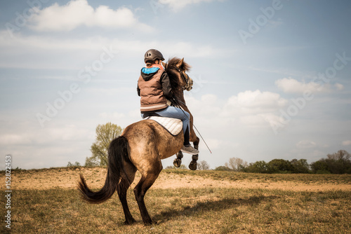 Fototapeta Naklejka Na Ścianę i Meble -  Steigendes Pferd mit Reiter
