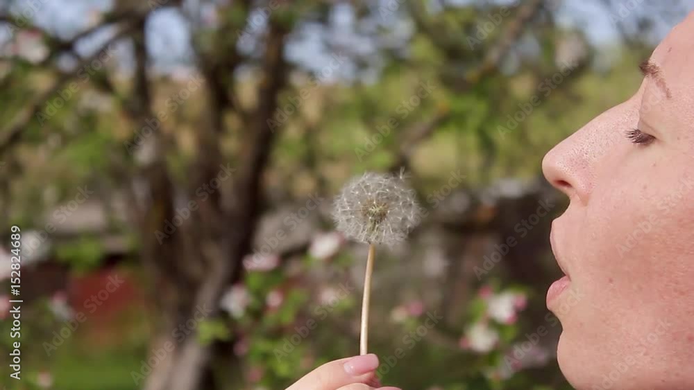 Happy beautiful woman blowing dandelion in the garden. Cute girl playing with blowball. Happy beautiful woman blowing dandelion in the garden. Cute girl playing with blowball.