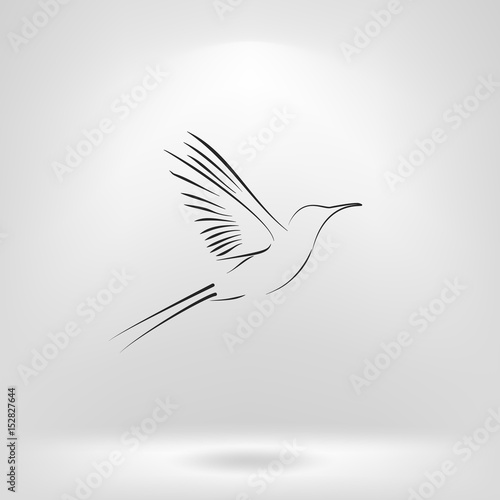 hummingbird vector icon
