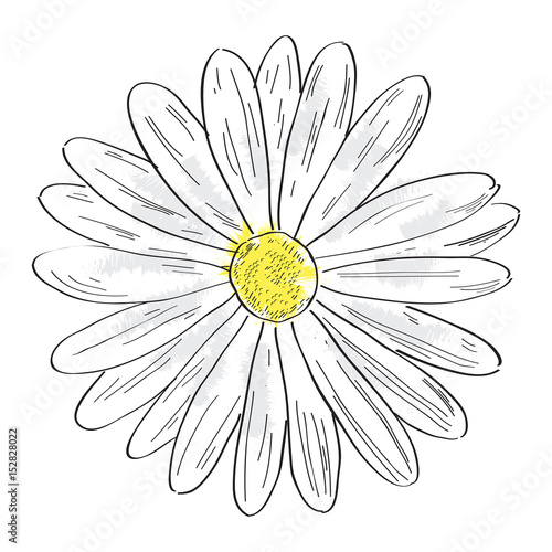 Isolated outline of a flower, Vector illustration