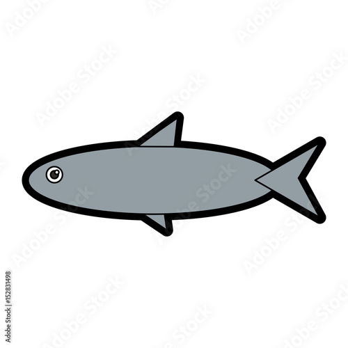 Fish sea animal vector illustration graphic design