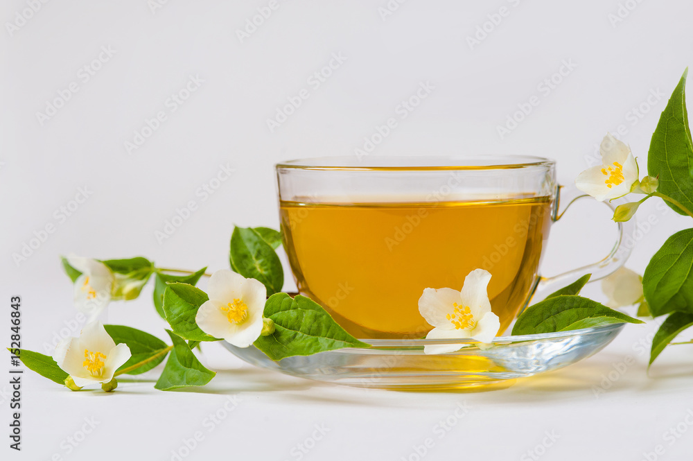 Jasmine tea and Jasmine flowers on a white background Jasmine tea and Jasmine flowers on a white background