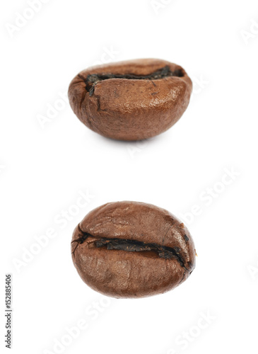 Single coffee bean isolated