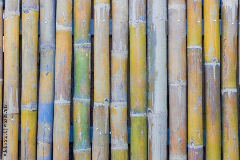 bamboo fence wall texture background, shallow depth of field bamboo fence wall texture background, shallow depth of field