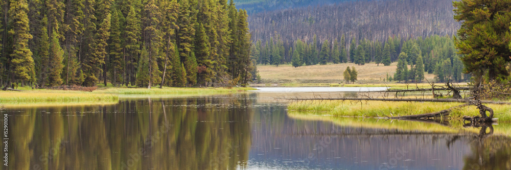Serene Yellowstone River Landscape