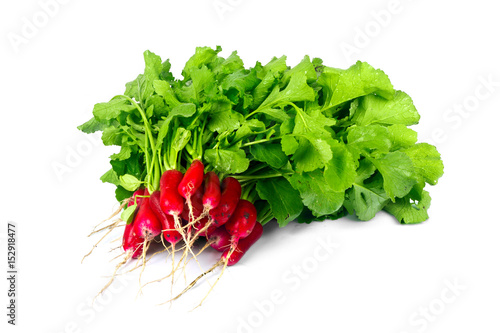 Bunch of radishes with green leaves on a white background for isolation