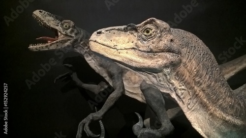 Photography Dinosaur Exhibition at Sydney Museum