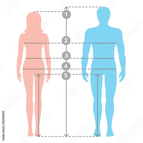 Silhuettes of man and women in full length with measurement lines of body parameters . Man and women sizes measurements. Stock vector cartoon illustration. Human body measurements and proportions.