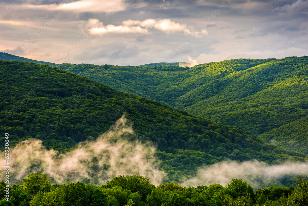 foggy mountain ridge over the forest in springtime foggy mountain ridge over the forest in springtime