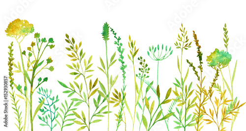 hand drawn color floral background