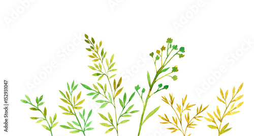 hand drawn color floral background