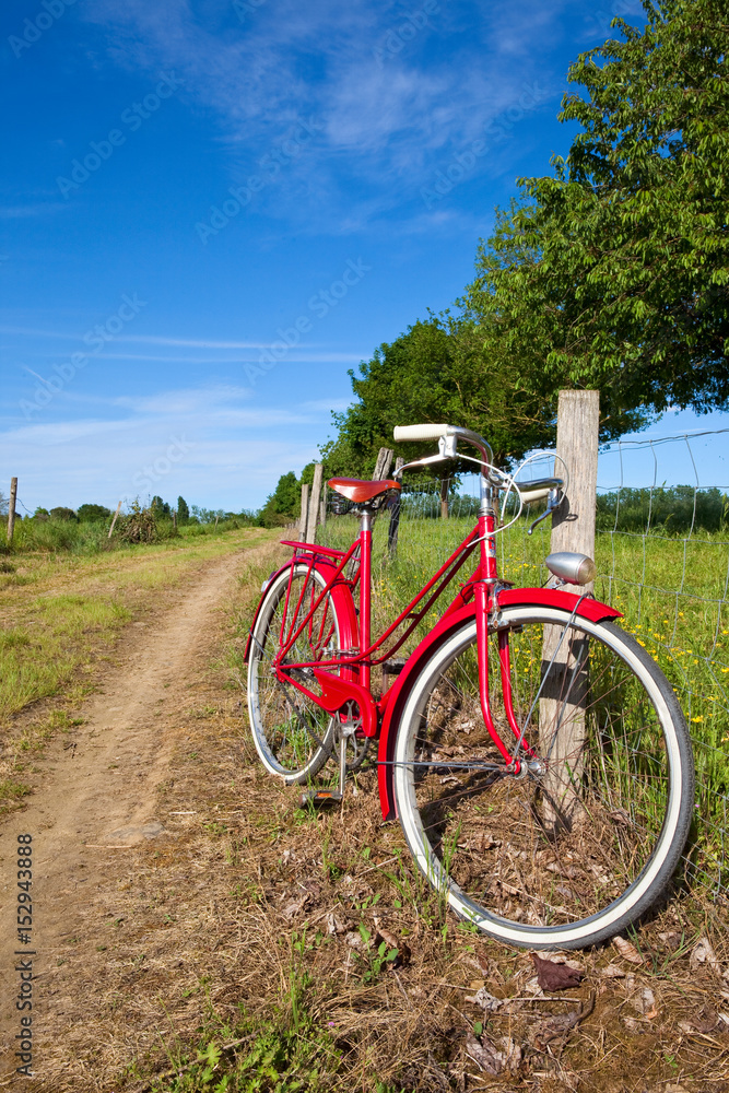 Fototapeta premium Balade en campagne au printemps