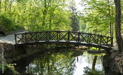 Old wooden bridge in the park