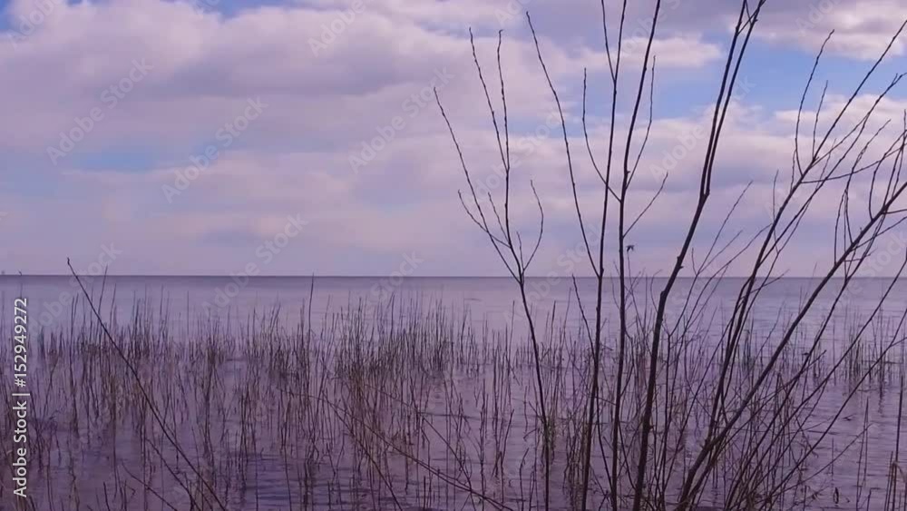 Steadicam shot of lake coast. Beach. Nature landscape. Slow motion footage. Steadicam shot of lake coast. Beach. Nature landscape. Slow motion footage.