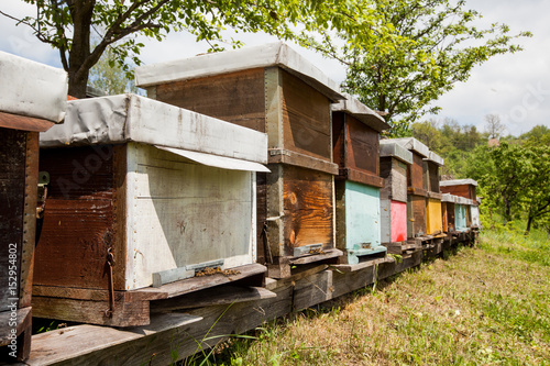 Hives in the apiary