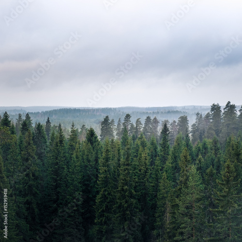 Landscape with grey weather and forest from hill at autumn day