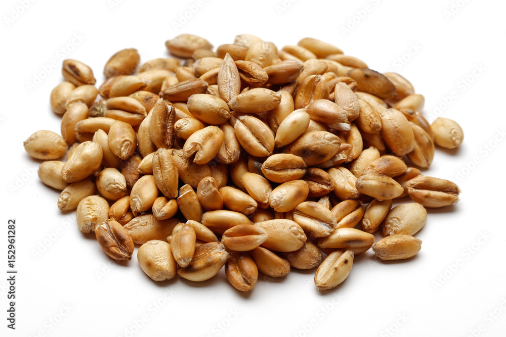 Wheat seeds Wheat seeds