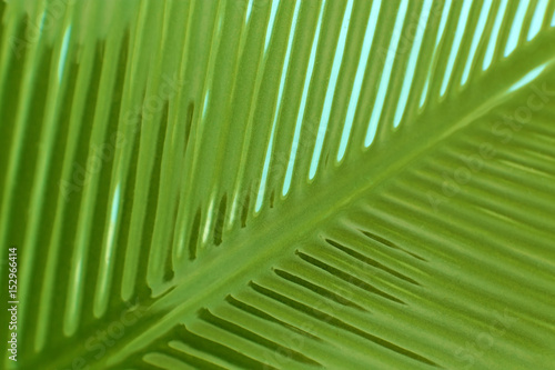 Green textured ceramic background  closeup