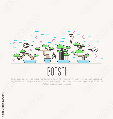 Set of flat miniature bonsai in pots with scissors around. Japanese culture. Vector illustration of plants in thin line style; concept for web site; postcard; print.