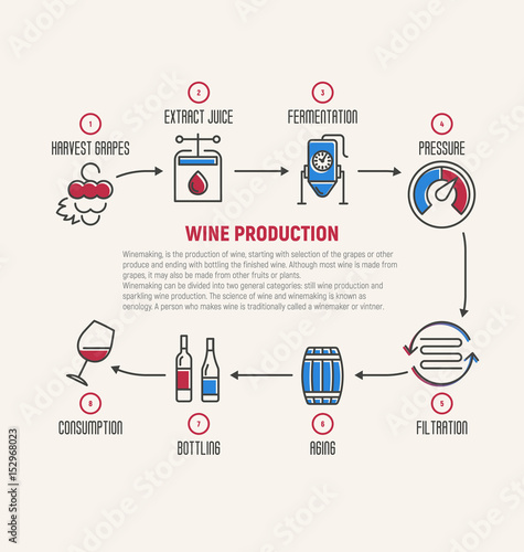 Thin line infographic of wine fermentation, making. How wine is made, wine elements, creating a wine, winemaker tool set and vineyard. Production of alcoholic beverages. Vector illustration.